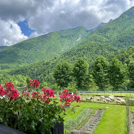 Residenza La Ciasa Aparthotel 3*